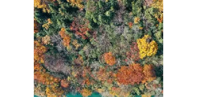 <strong>贵州百里杜鹃：色彩斑斓景如画</strong>