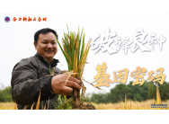 <strong>奋力耕耘正当时——农业强国建设一线的四个故</strong>