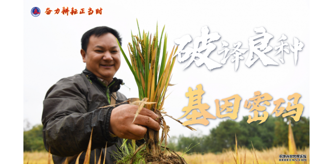 <strong>奋力耕耘正当时——农业强国建设</strong>