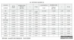 金融包容与中国家庭福利水平研究